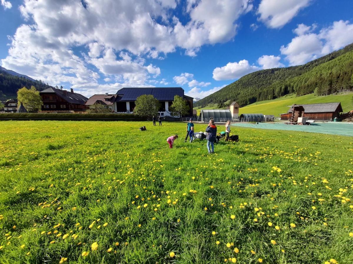 Sonnenchalet Neusess Mauterndorf  Exteriér fotografie